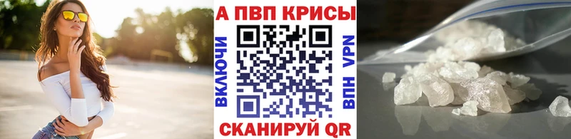 Альфа ПВП СК КРИС  Тотьма 