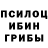 Псилоцибиновые грибы Magic Shrooms Tera Player